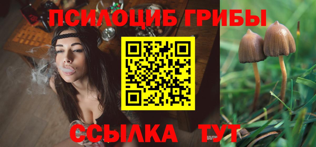 Галлюциногенные грибы Psilocybine cubensis  Вход с VPN  Воскресенск 